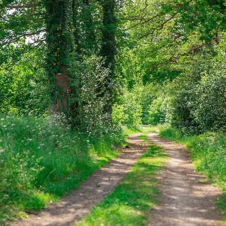 Vakantiepark Westerwolde Pagedal Stadskanaal Kültér fotó