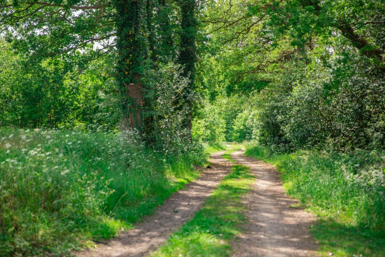 Vakantiepark Westerwolde Pagedal Stadskanaal Kültér fotó